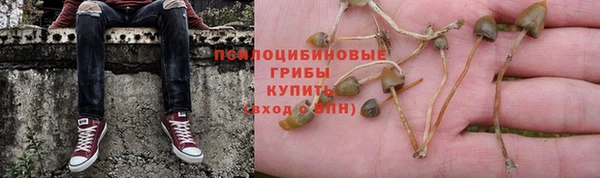 гидропоника Лихославль