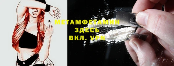 PSILOCYBIN Лиски