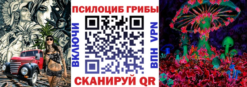 где купить   omg вход  Галлюциногенные грибы Magic Shrooms  Кисловодск 